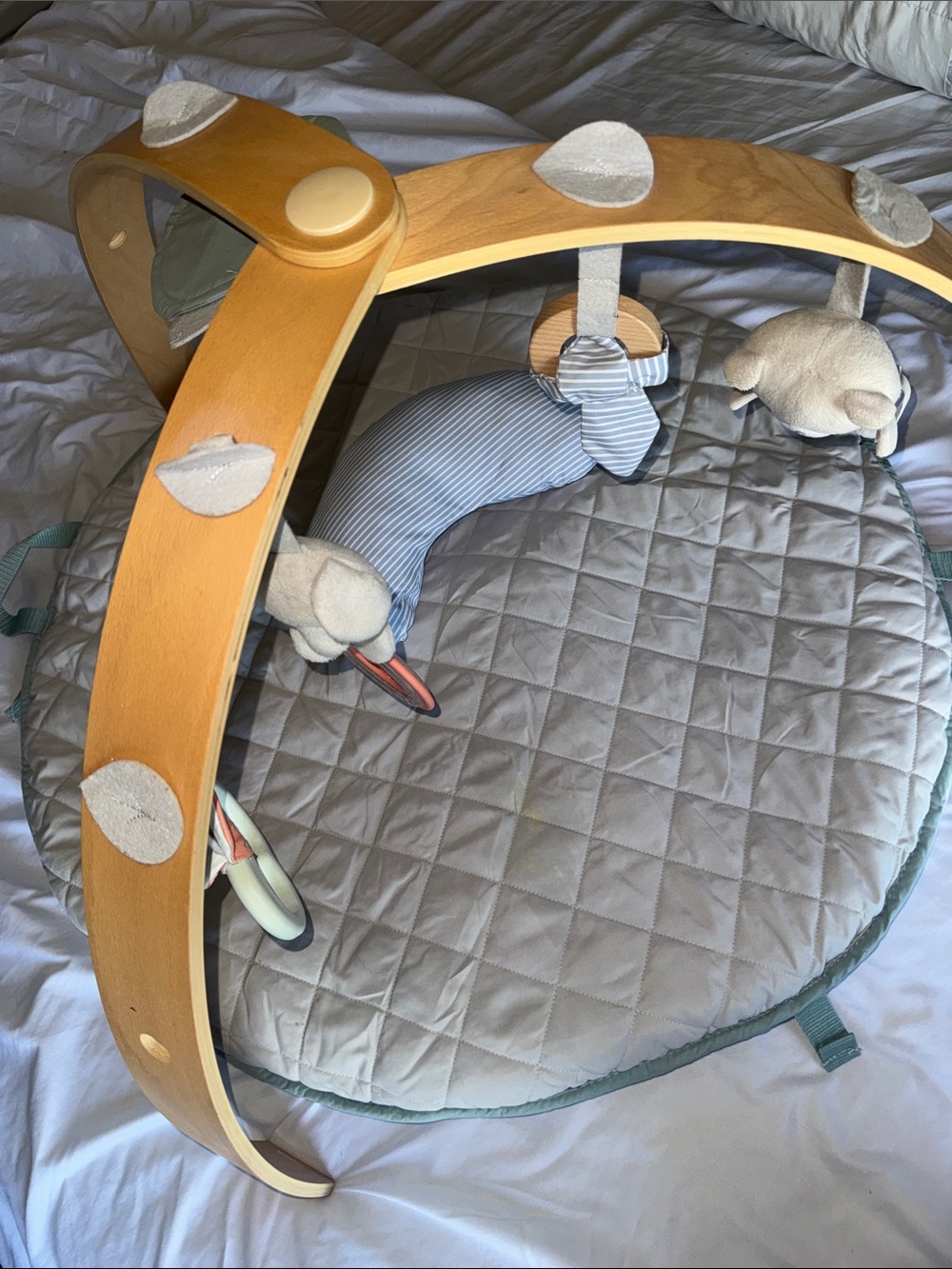 Ingenuity Baby Activity Gym